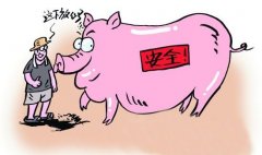 動物疫病診斷的方法有哪些？