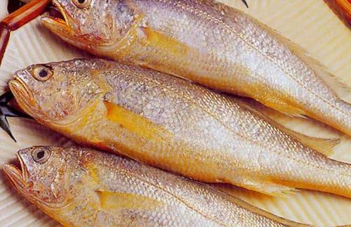 黃花魚中獸藥殘留超標(biāo)怎么看？