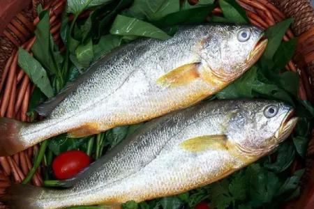 黑魚中檢測(cè)出孔雀石綠超標(biāo)，黃魚中檢測(cè)出氧氟沙星超標(biāo)