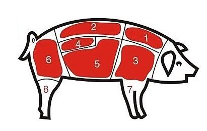 病害肉檢測(cè)儀