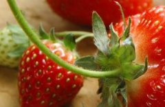 農(nóng)殘快速檢測(cè)儀成為消費(fèi)者蔬菜安全守護(hù)者