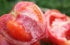 為何建議超市配備食品安全檢測(cè)儀？