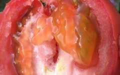 農(nóng)殘快速檢測儀如何做到保障農(nóng)產(chǎn)品安全的？